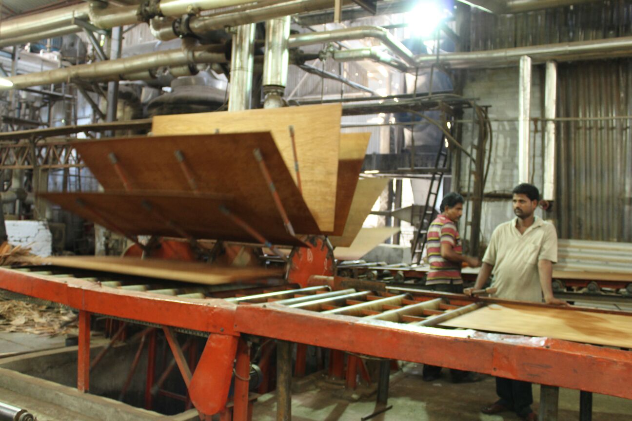 Green Plywood Industrial Visit BESC The Bhawanipur Education