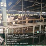 Industry visit to Thacker Dairy (Kalyani Unit)