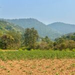 Nature’s Camp at Ghatshila