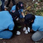 World Environment Day 2025