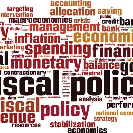 COVID-19 and the Policy Conundrum: A deliberation on Fiscal and Monetary policy decisions during the Pandemic”